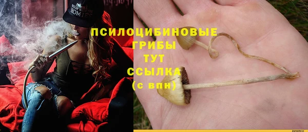 гидра Баксан