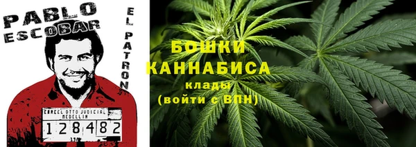 крисы Балабаново