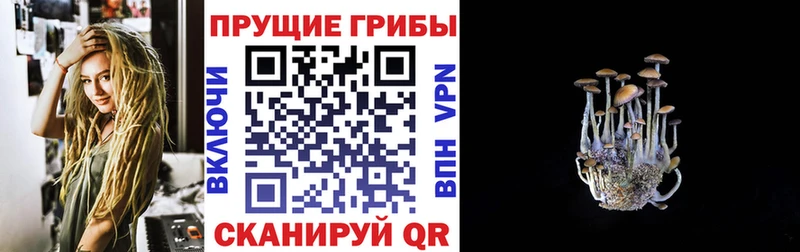 MEGA маркетплейс  Ногинск  Галлюциногенные грибы GOLDEN TEACHER 